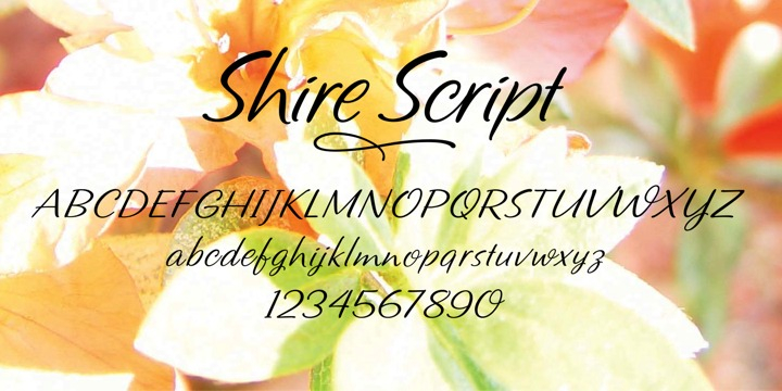 Shire Script Font | Fontspring