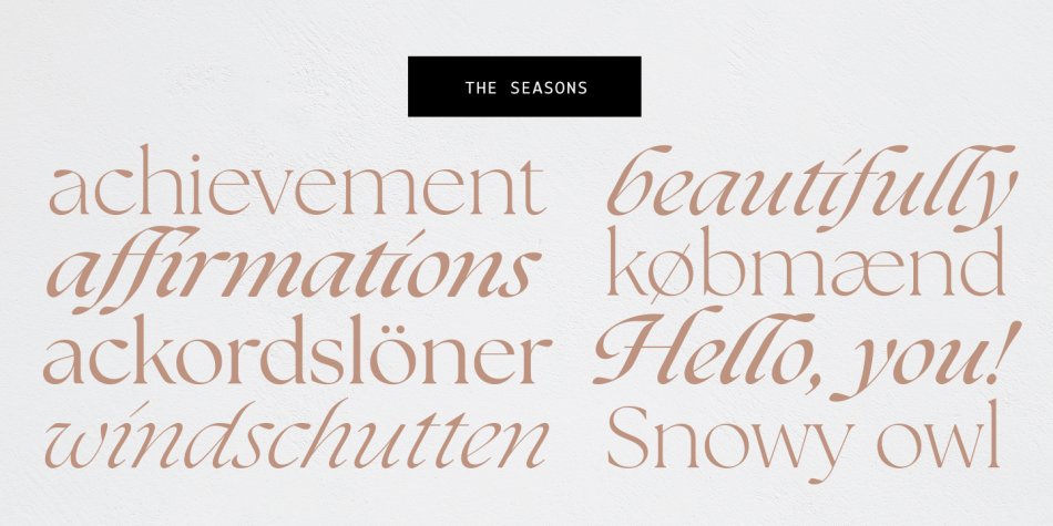 The Seasons Font | Fontspring