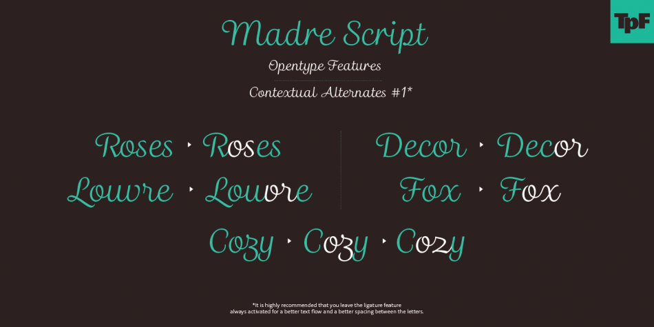 madre script font free download