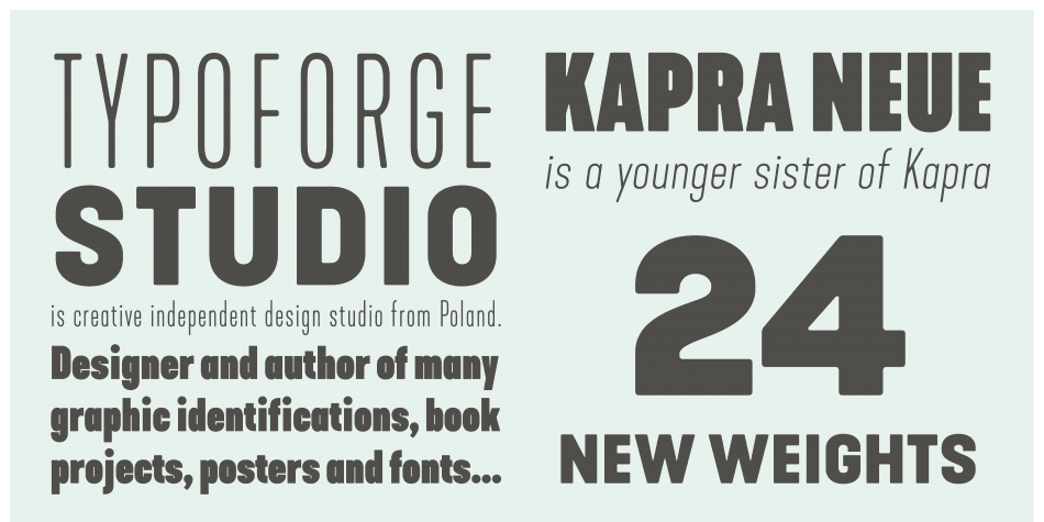 Kapra Neue Font | Fontspring